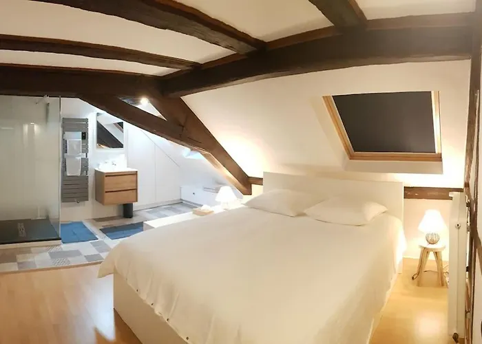 Les Toits De Colmar