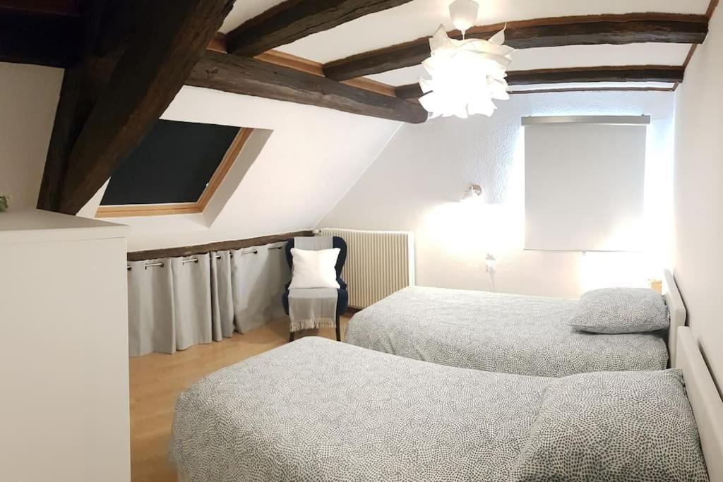 Les Toits De Appartement *